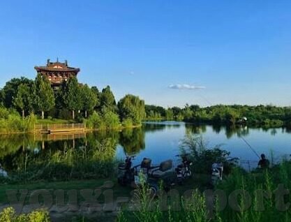 权威足球即时比分-权威足球即时比分，球迷的实时战场与数据盛宴